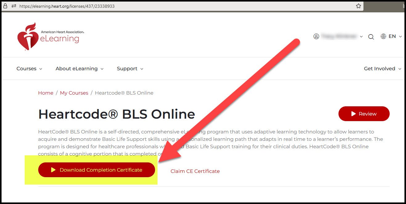 Certificate image 3