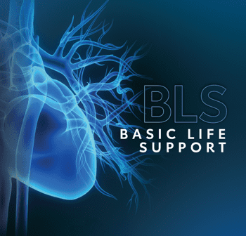 bls all in person