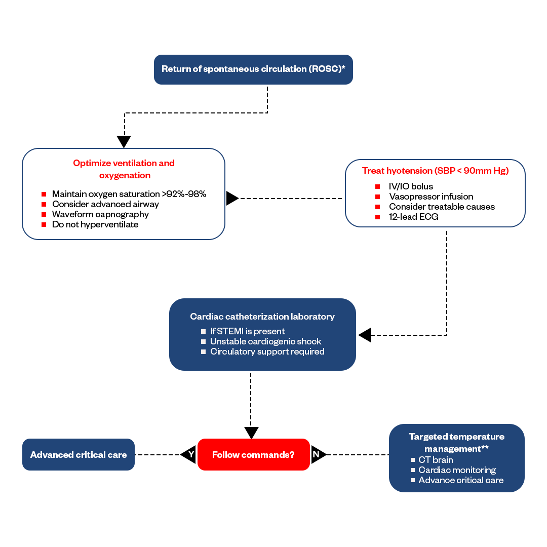 Immediate post cardiac arrest care algorithm infographics