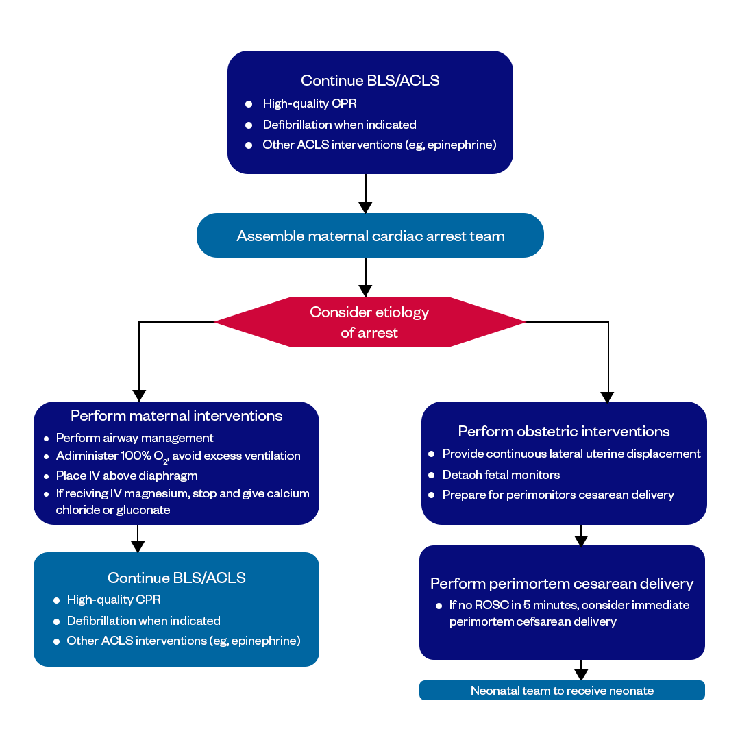 acls in hospital cardiac arrest in pregnancy algorithm infographics