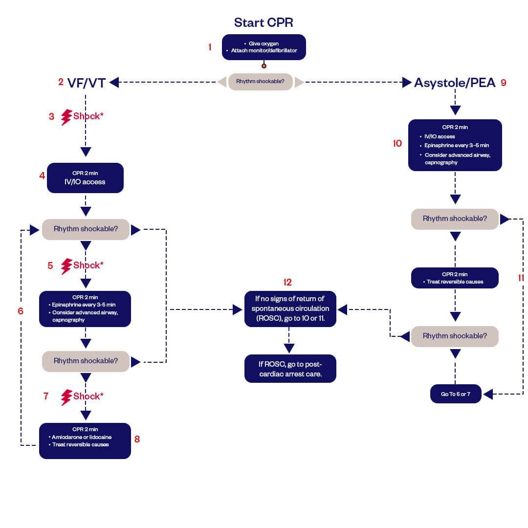 cardiac arrest algorithm infographics