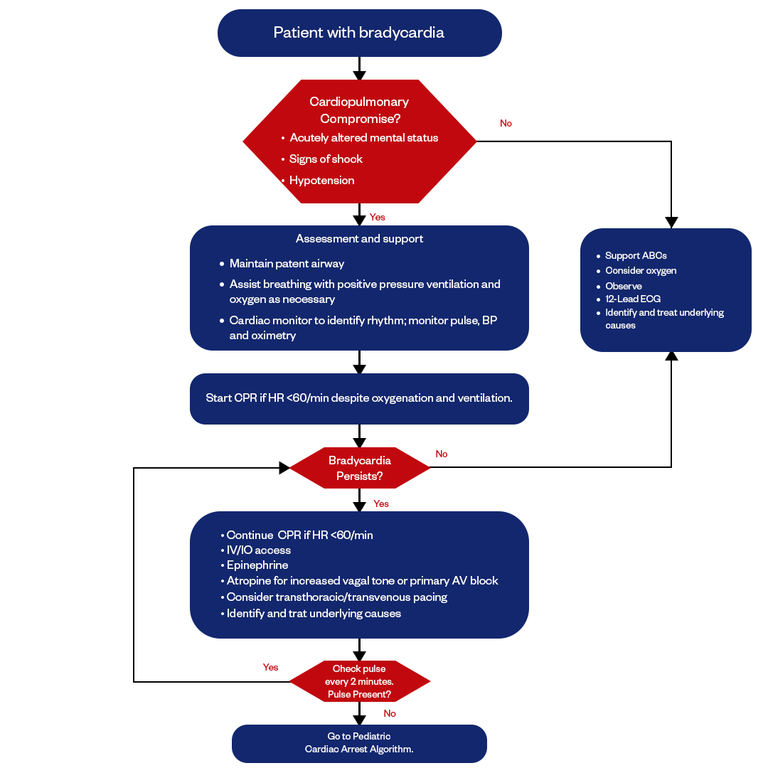 pediatric bradycardia with pulse algorithm