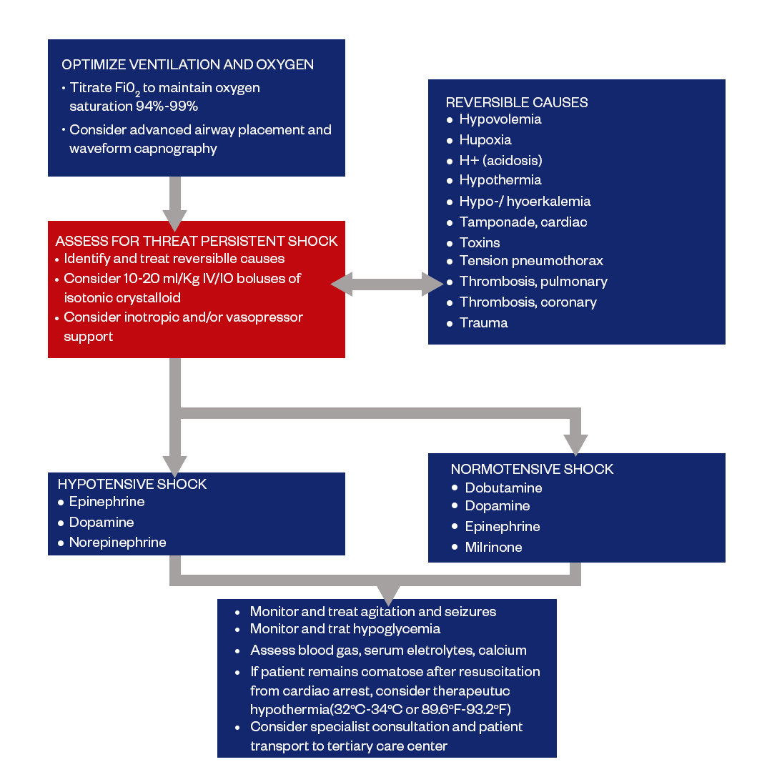 pediatric post resuscitation care algorithm