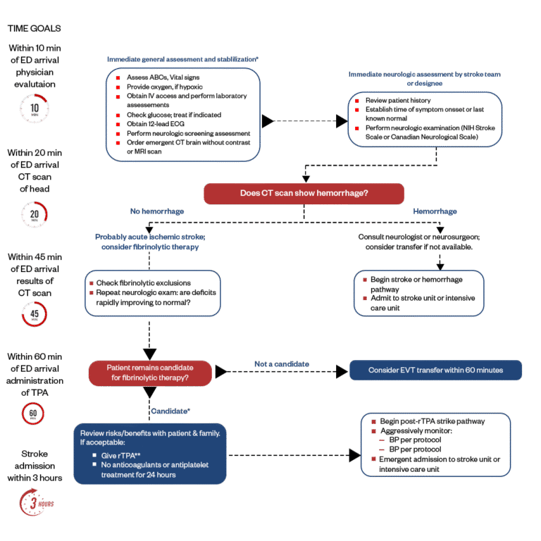 suspected stroke algorithm infographics