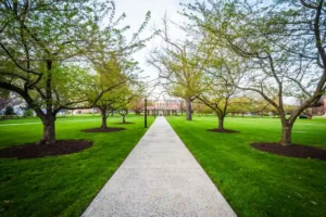 college park location