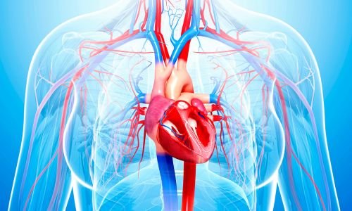 resuscitation triangle roles in acls high performance team