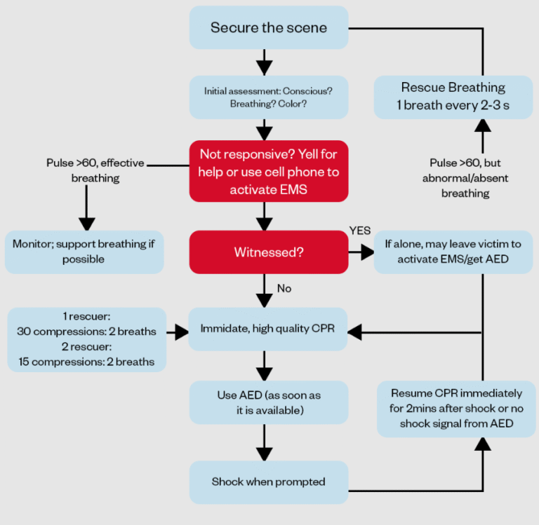Pediatric BLS Algorithm